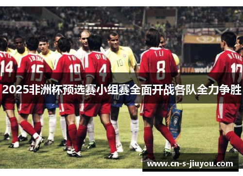 2025非洲杯预选赛小组赛全面开战各队全力争胜